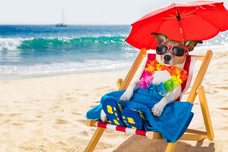 URLAUB!!!